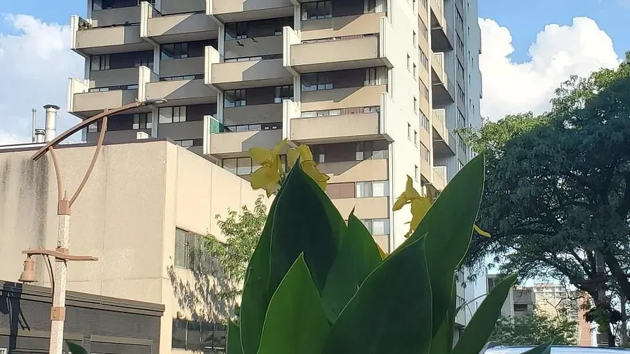 ECC (ESSEX) condo building exterior