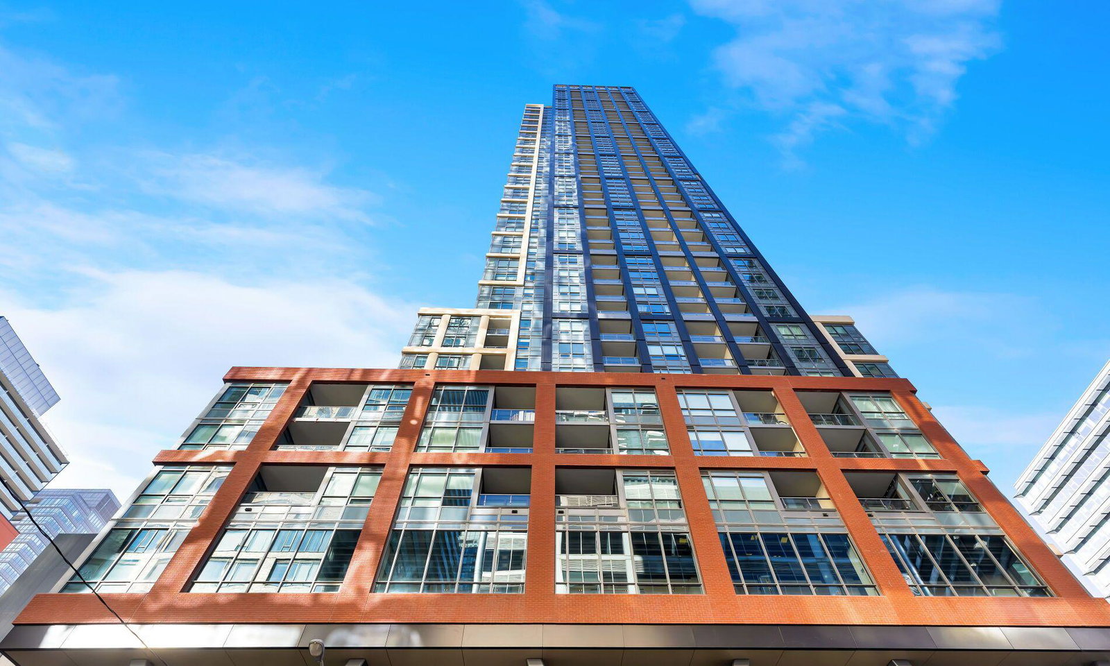 Peter & Adelaide Condos condo