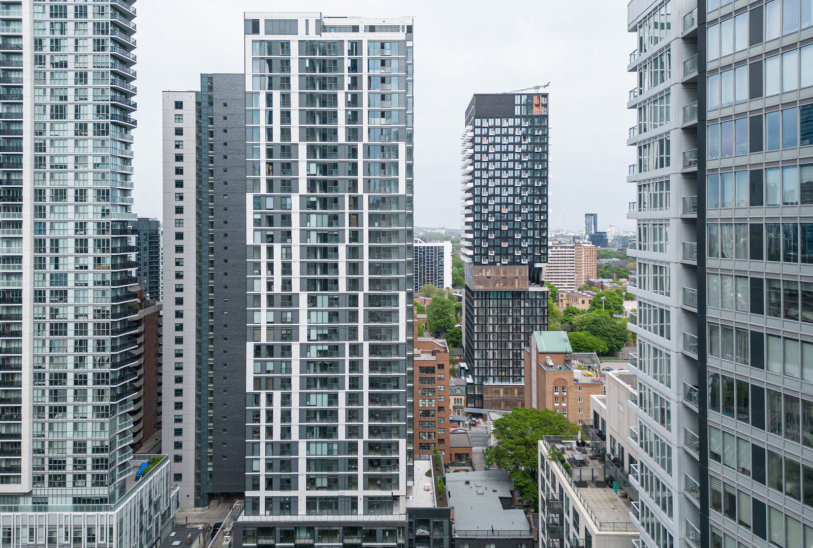 Ivy Condos condo