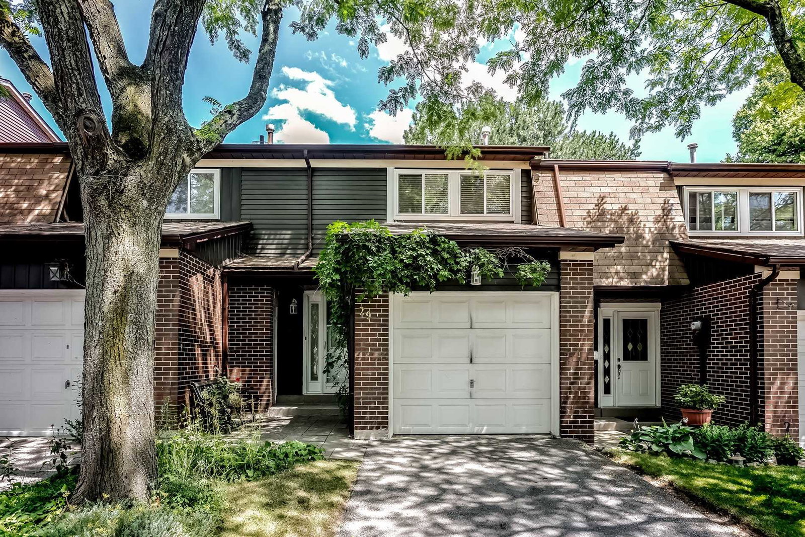 40 Castle Rock Drive Townhomes condo