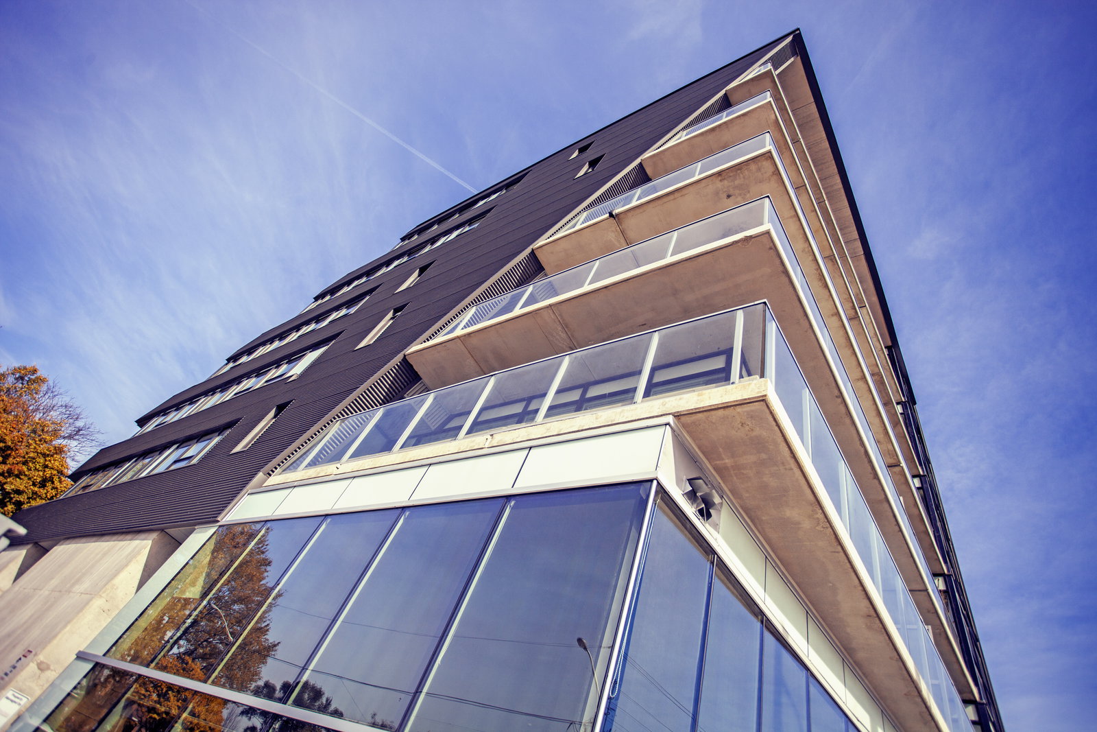 The Hive Lofts condo