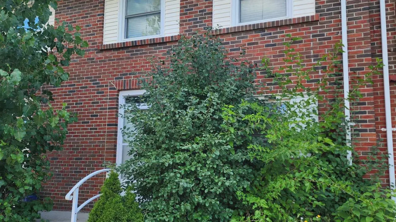 Middlesex Condominium condo building exterior