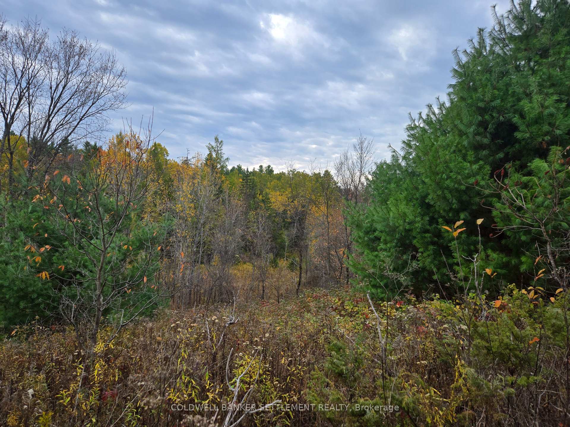 Photo 10 of Cranberry Lake Road, Frontenac, Frontenac Centre — HOMEH