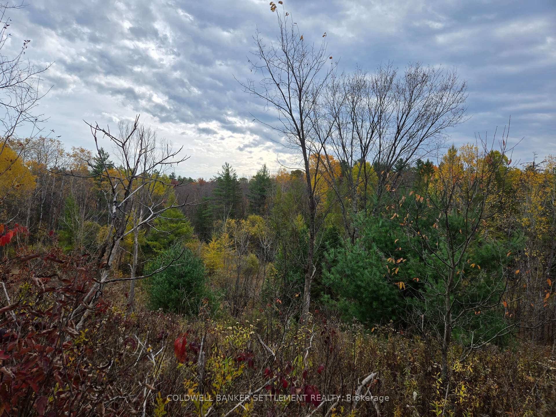 Photo 7 of Cranberry Lake Road, Frontenac, Frontenac Centre — HOMEH