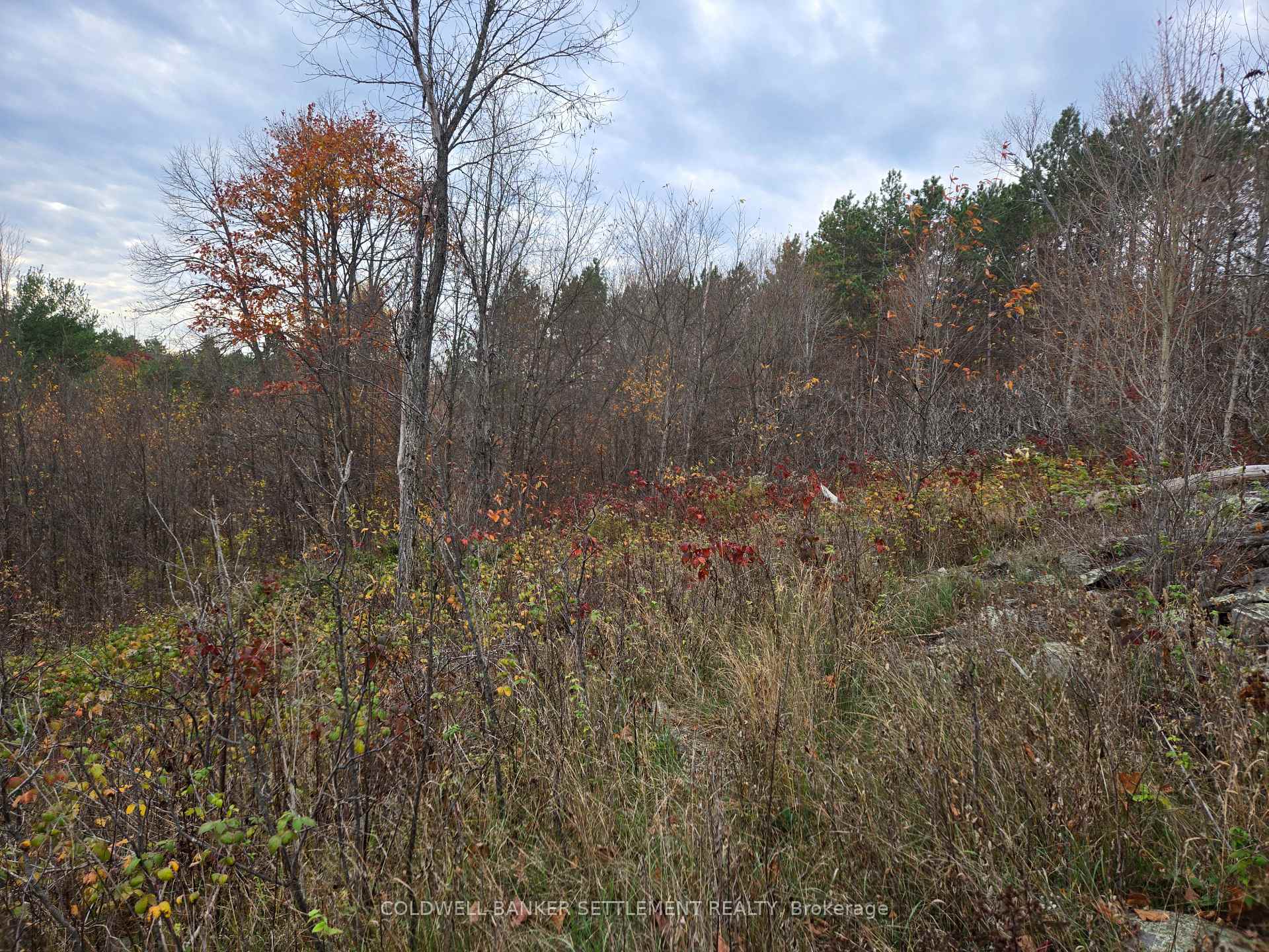 Photo 5 of Cranberry Lake Road, Frontenac, Frontenac Centre — HOMEH