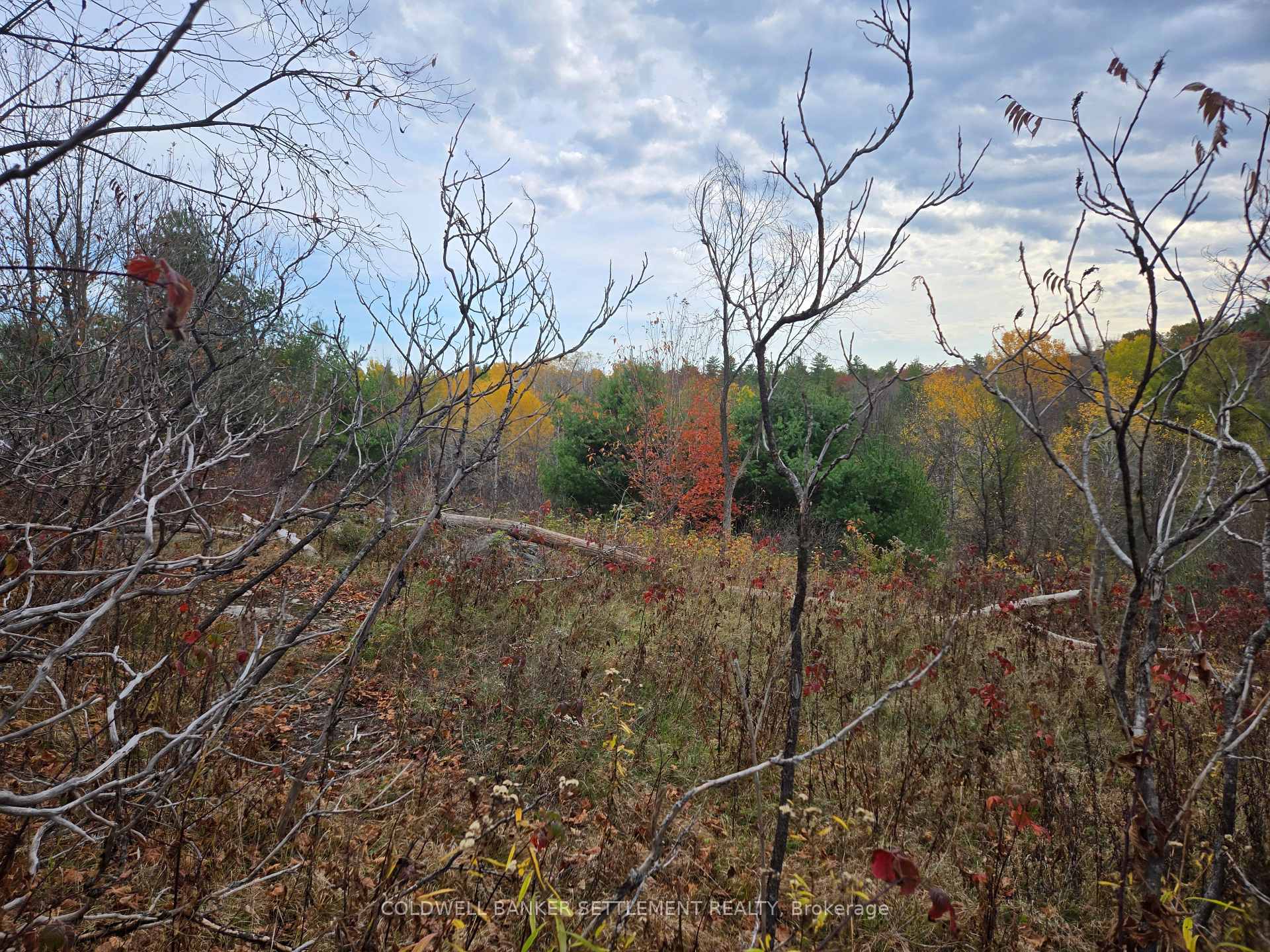 Photo 8 of Cranberry Lake Road, Frontenac, Frontenac Centre — HOMEH