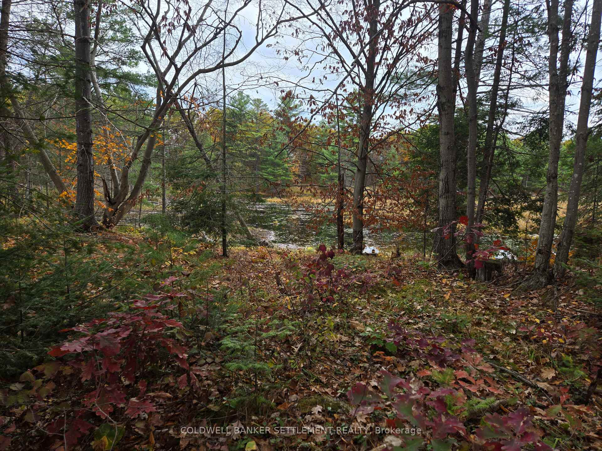 Photo 9 of Cranberry Lake Road, Frontenac, Frontenac Centre — HOMEH