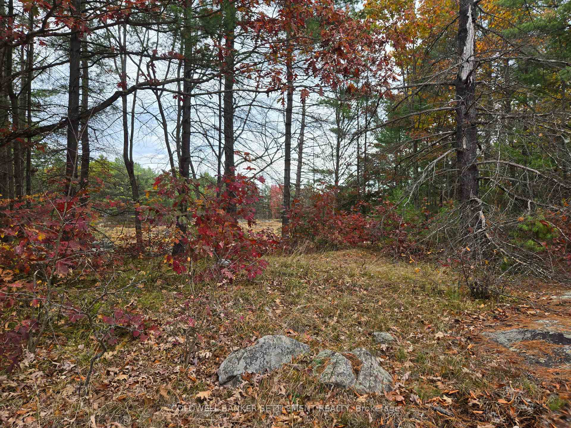 Photo 6 of Cranberry Lake Road, Frontenac, Frontenac Centre — HOMEH