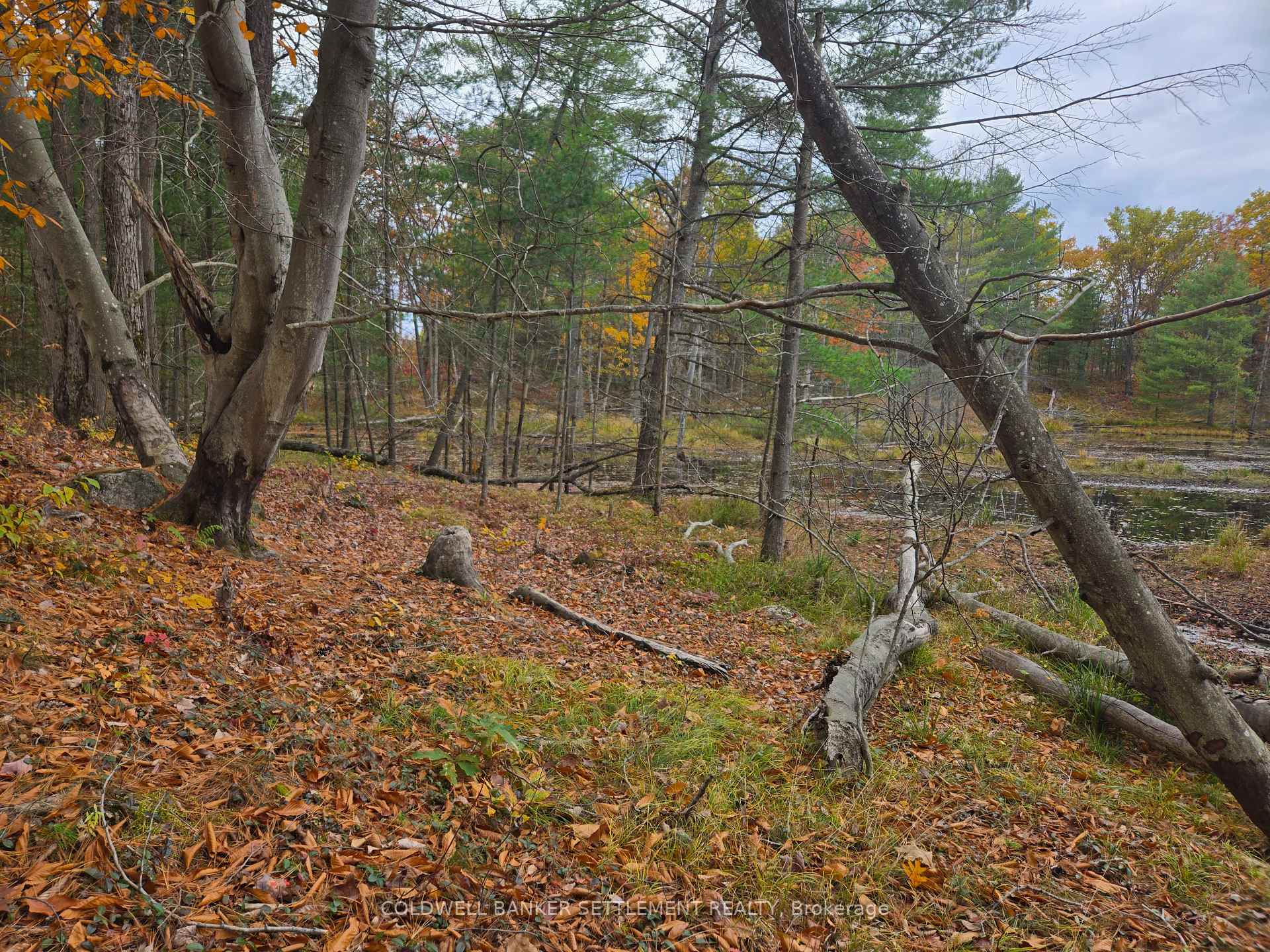 Photo 11 of Cranberry Lake Road, Frontenac, Frontenac Centre — HOMEH