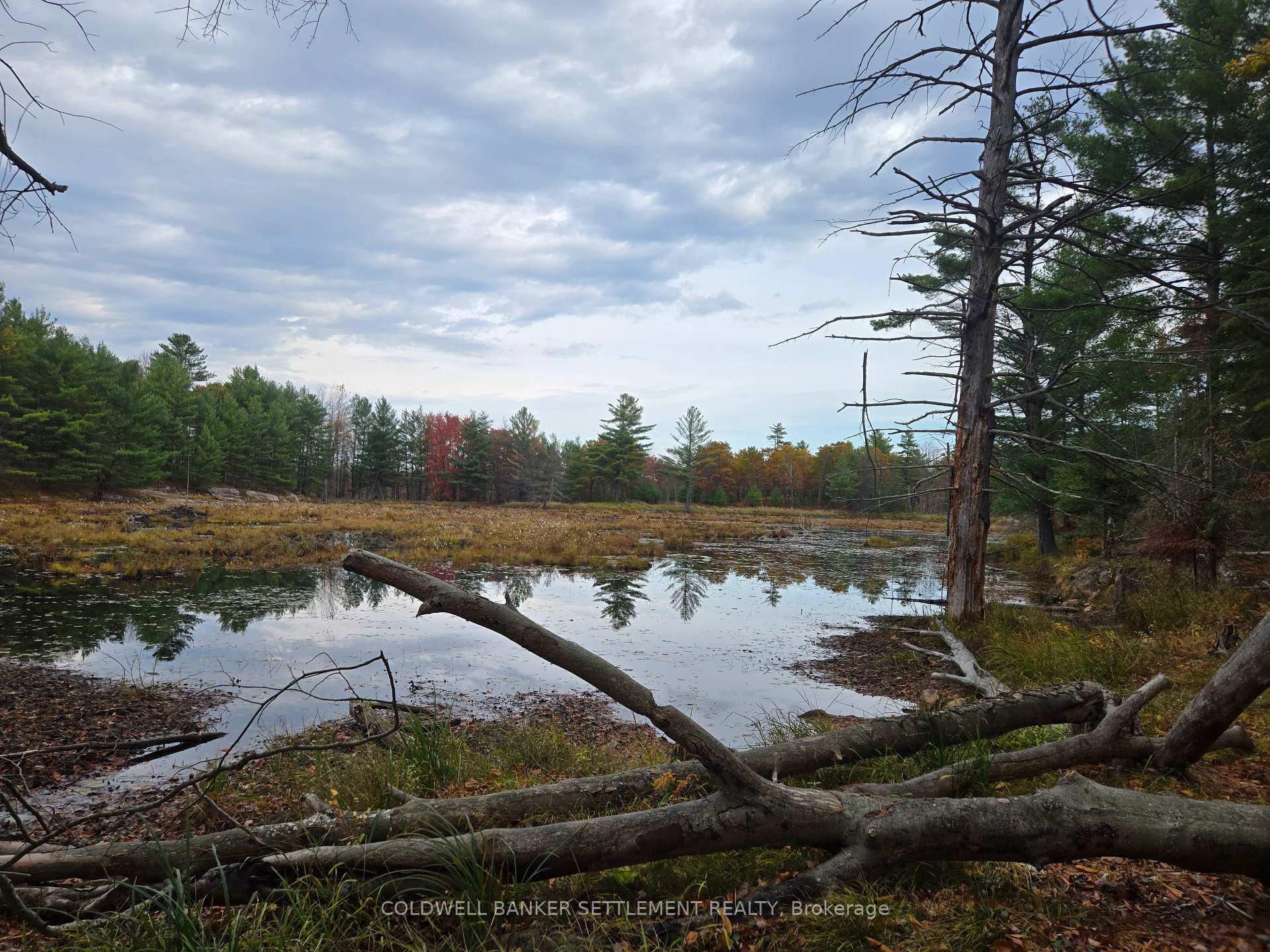 Photo 12 of Cranberry Lake Road, Frontenac, Frontenac Centre — HOMEH