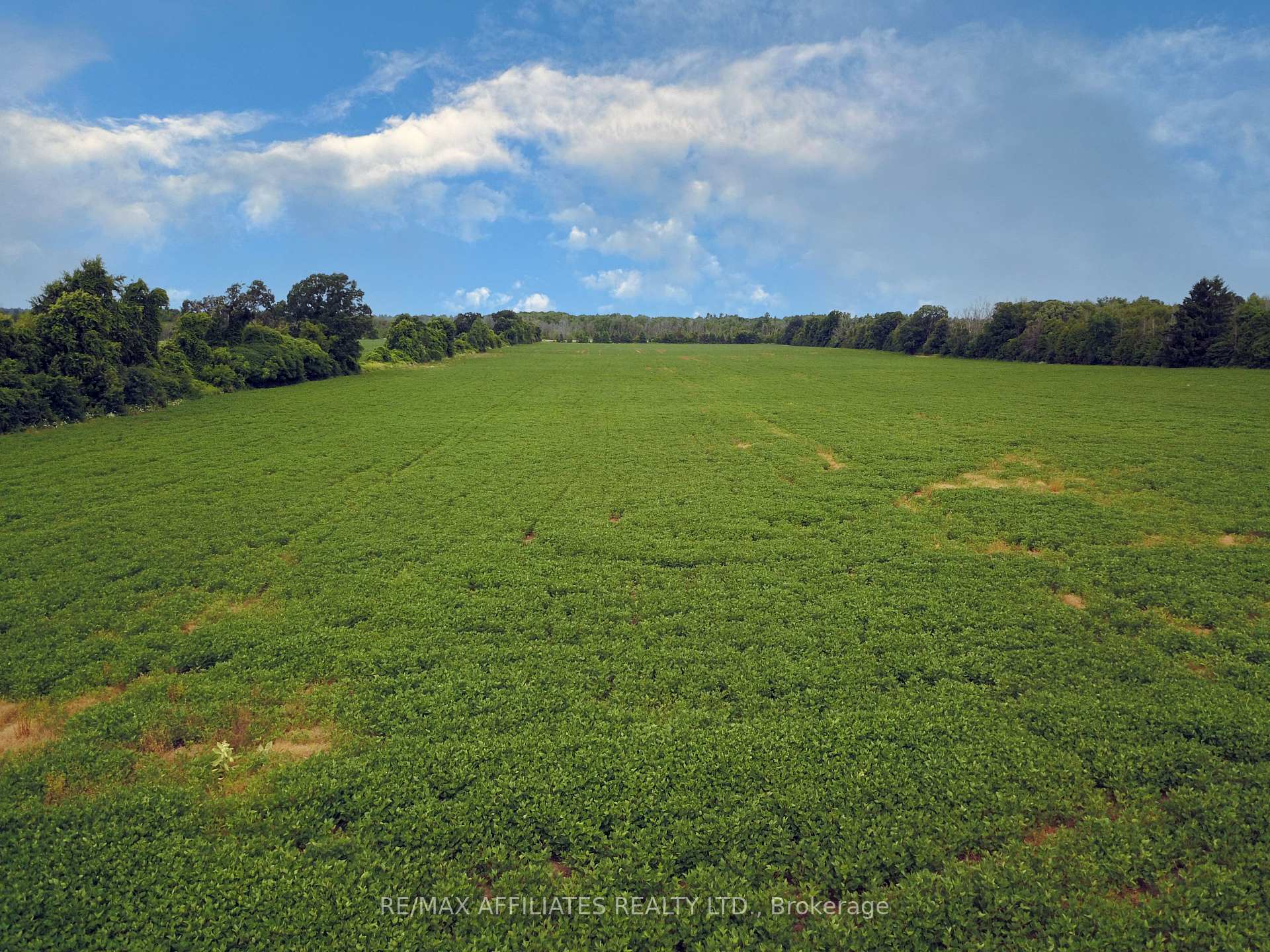 Photo 40 of 814 Scott Road, Edwardsburgh/Cardinal, Edwardsburgh/Cardinal Twp — HOMEH