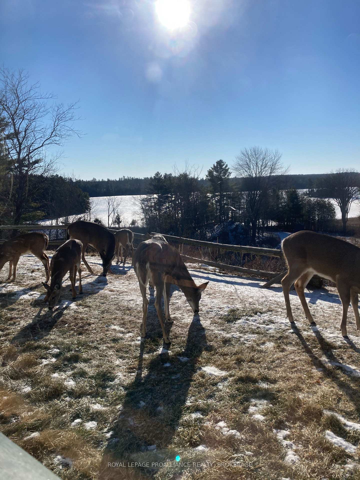 Photo 32 of 1597 Shales Road, Frontenac, Frontenac South — HOMEH