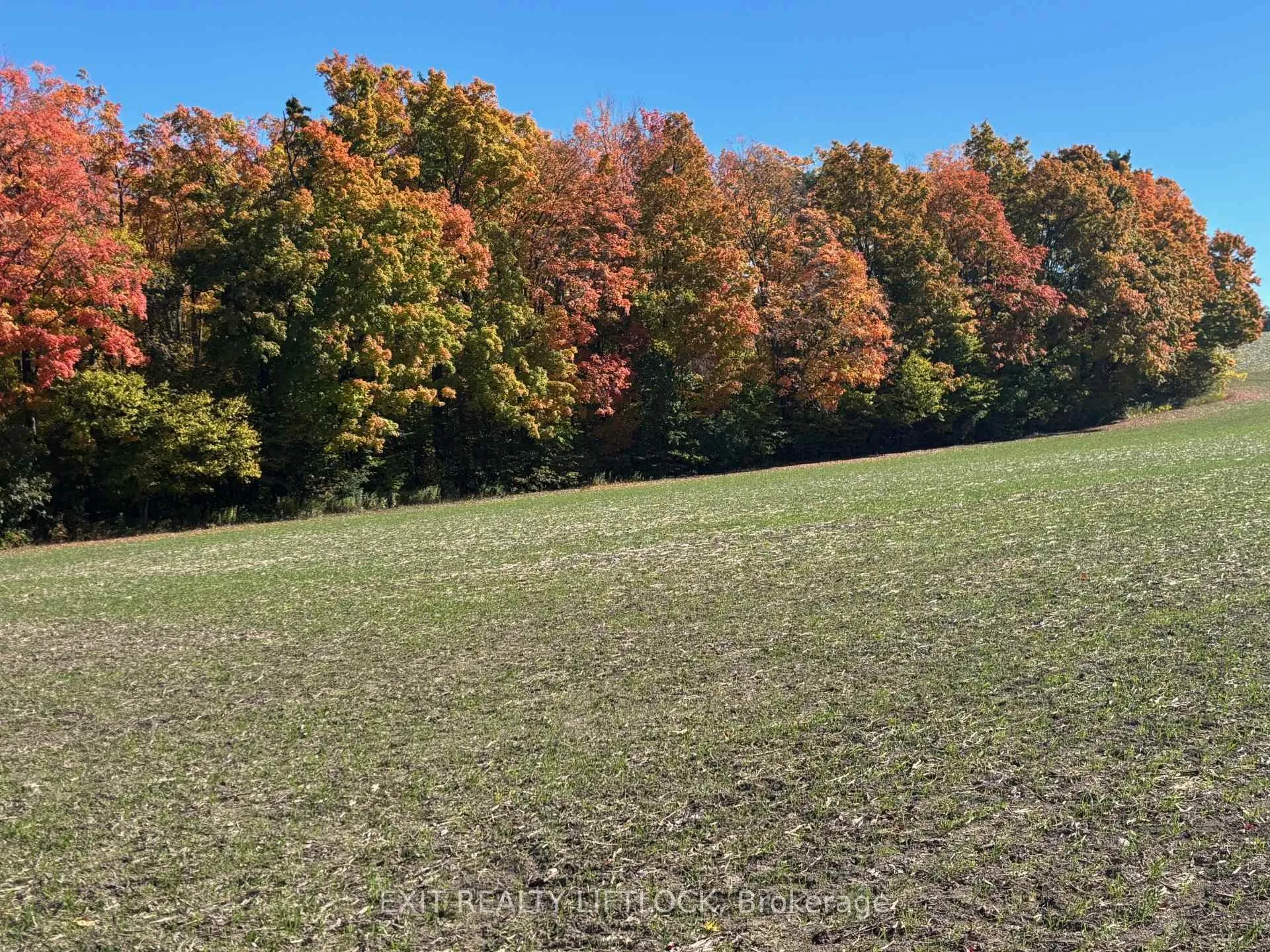 Photo 25 of 404 Morton Line, Cavan Monaghan, Cavan Twp — HOMEH