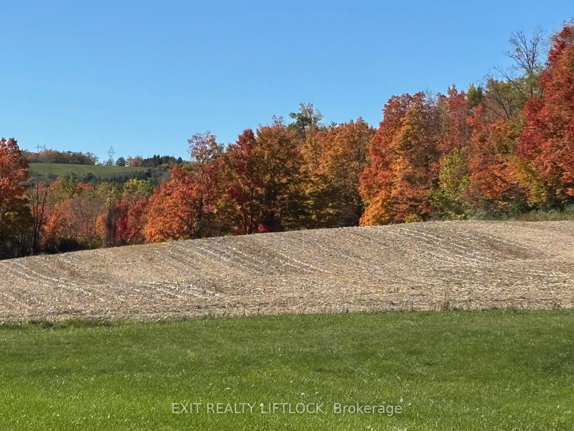 Photo 30 of 404 Morton Line, Cavan Monaghan, Cavan Twp — HOMEH