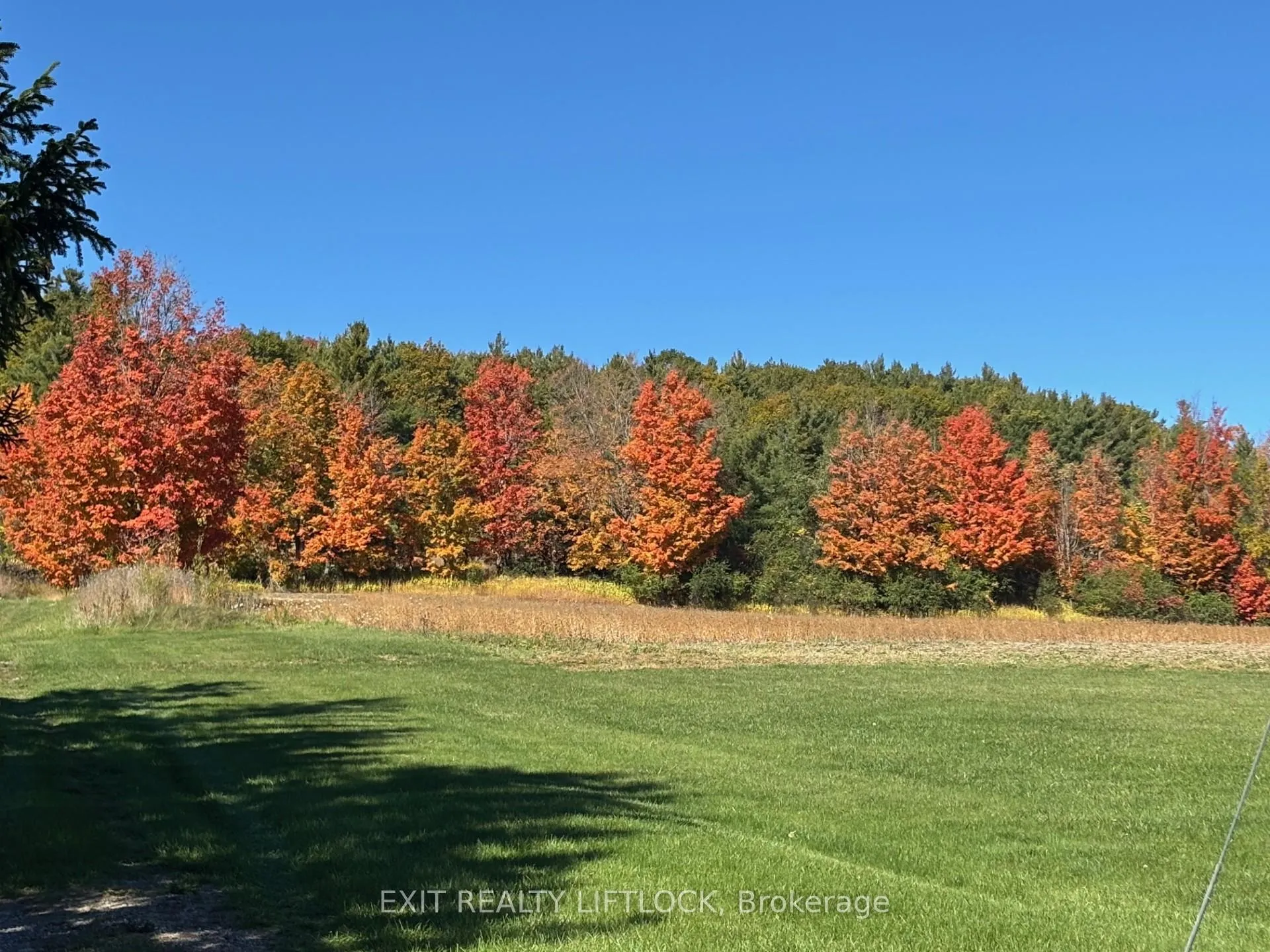 Photo 31 of 404 Morton Line, Cavan Monaghan, Cavan Twp — HOMEH