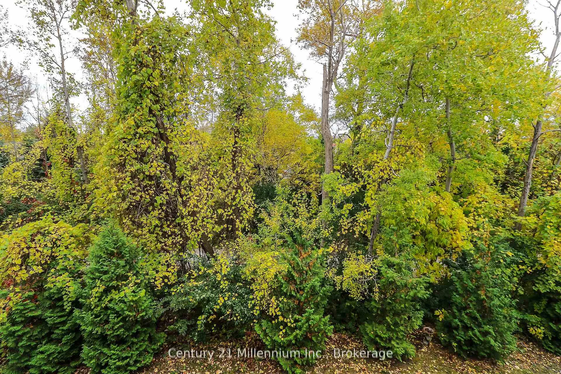Photo 30 of Unit 304, 2 Brandy Lane Drive, Collingwood — HOMEH
