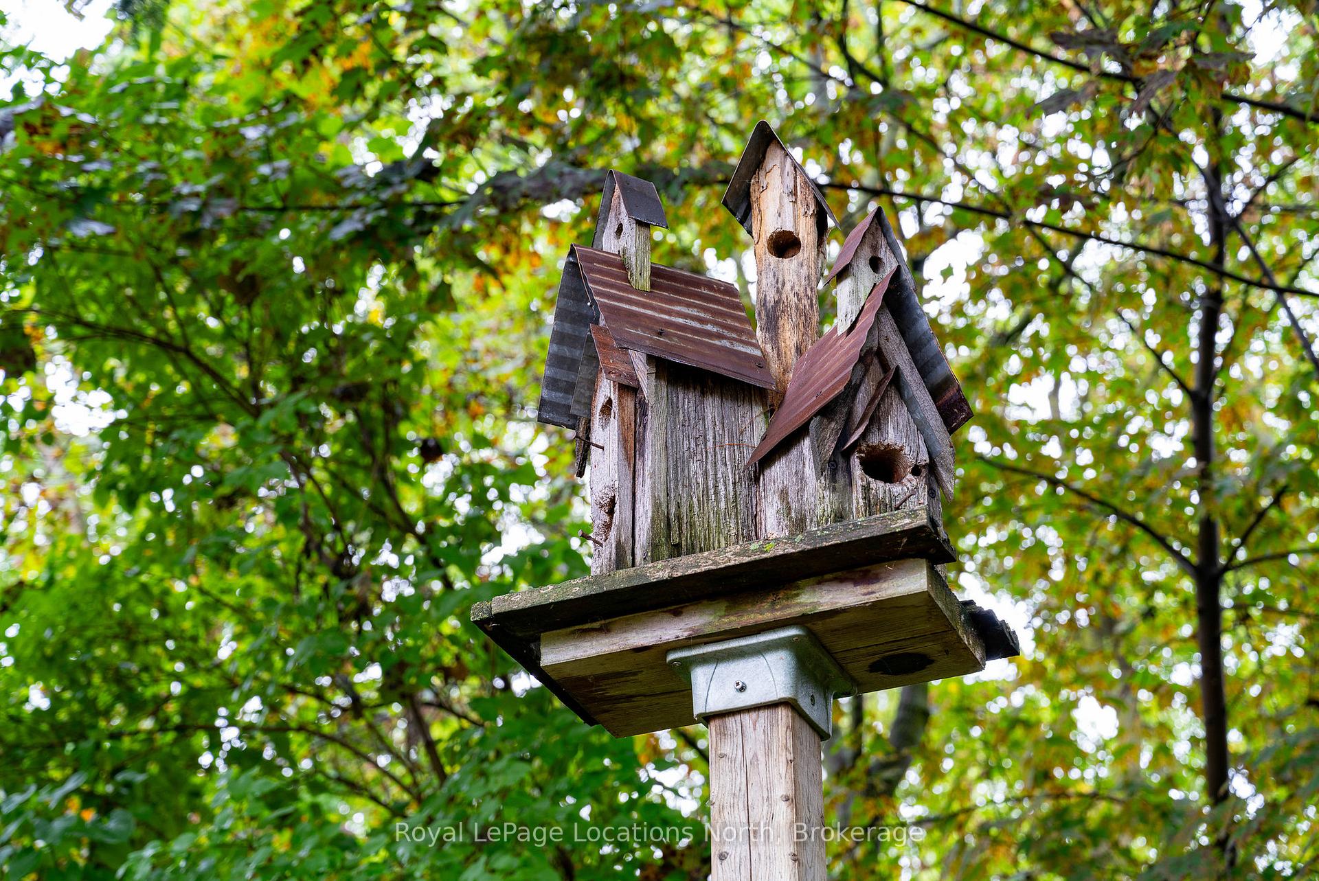 Photo 41 of 210 Birch Street, Collingwood — HOMEH