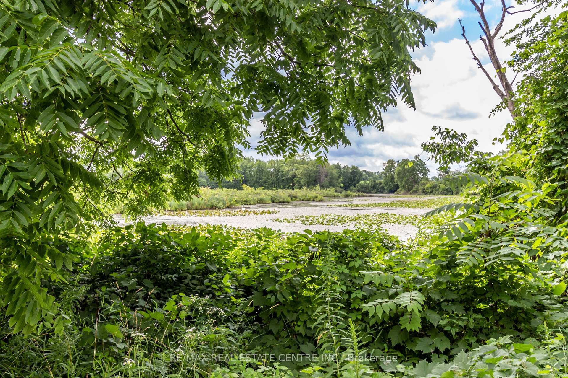 Photo 50 of 52 Drinkwater Drive, Cambridge — HOMEH