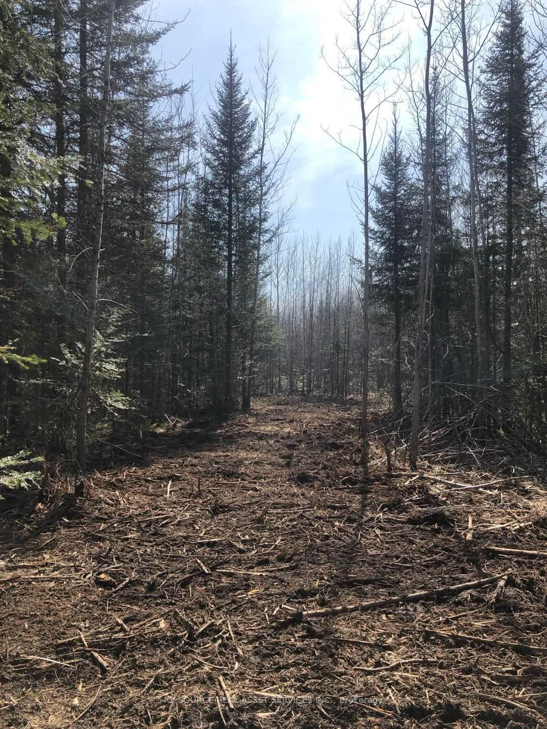 Photo 7 of Pt Lt 7 Con 4, Cochrane, Cochrane Unorganized — HOMEH