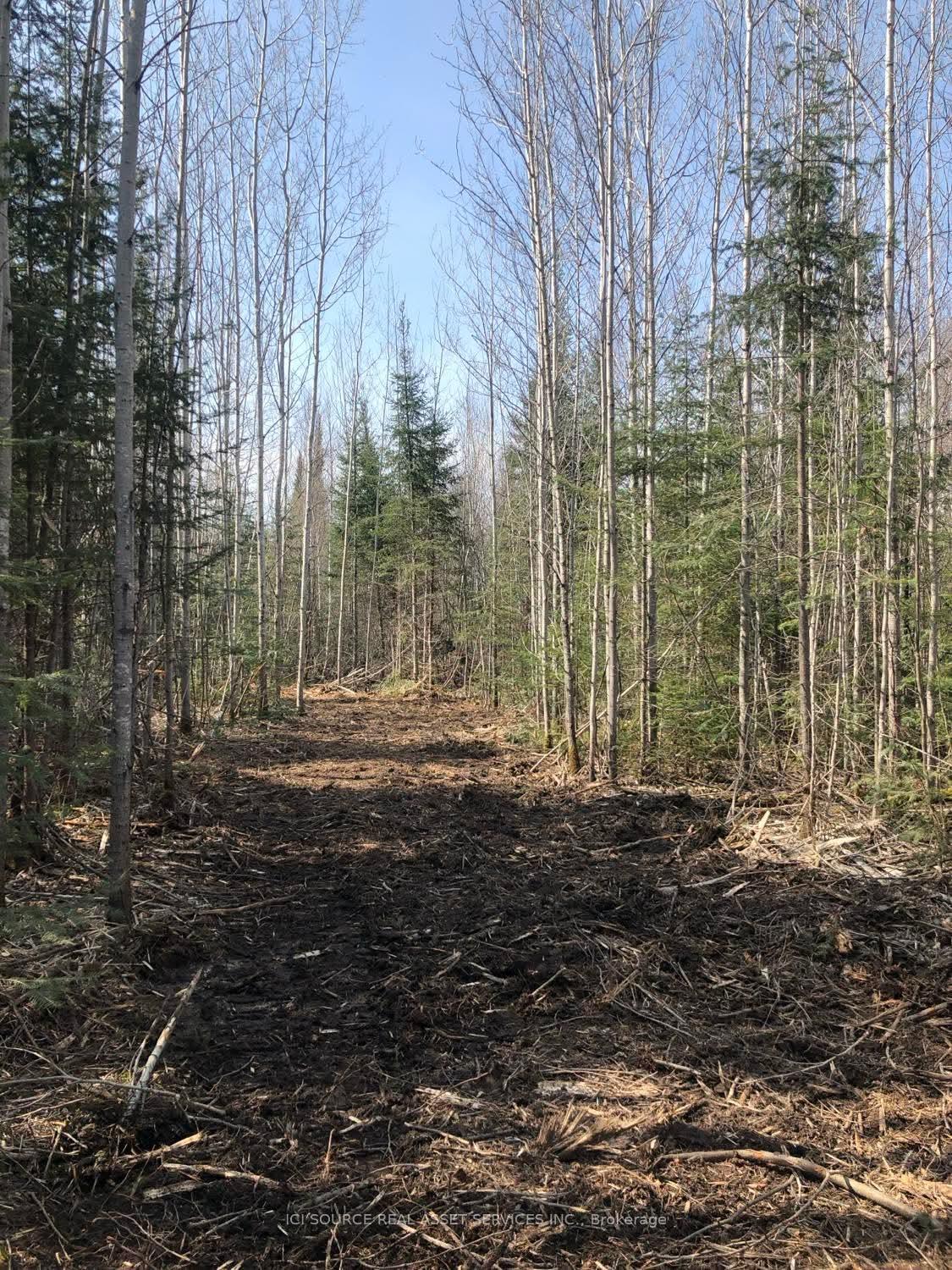 Photo 6 of Pt Lt 7 Con 4, Cochrane, Cochrane Unorganized — HOMEH