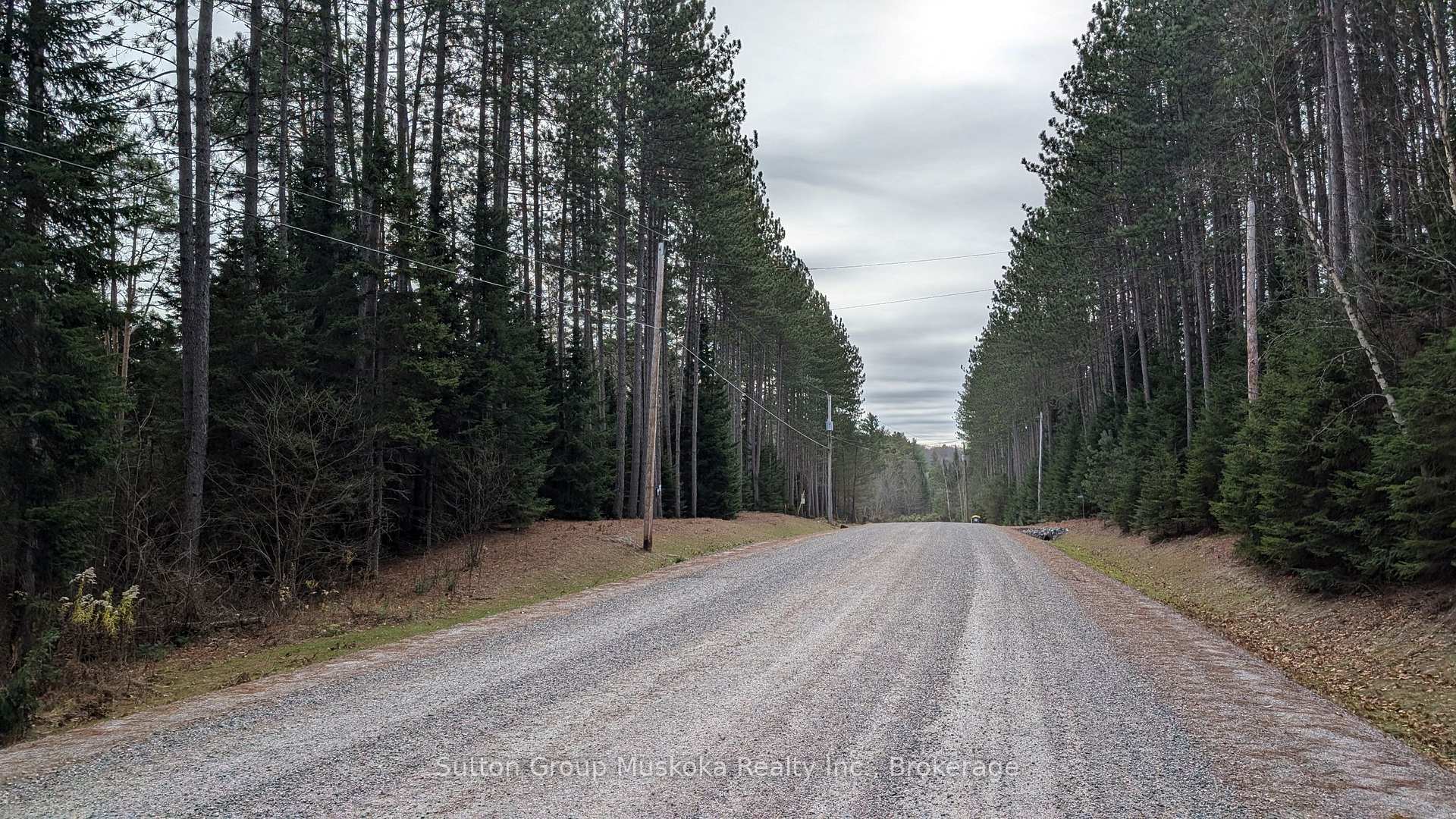 Front of Lot 1 Red Pine Trail