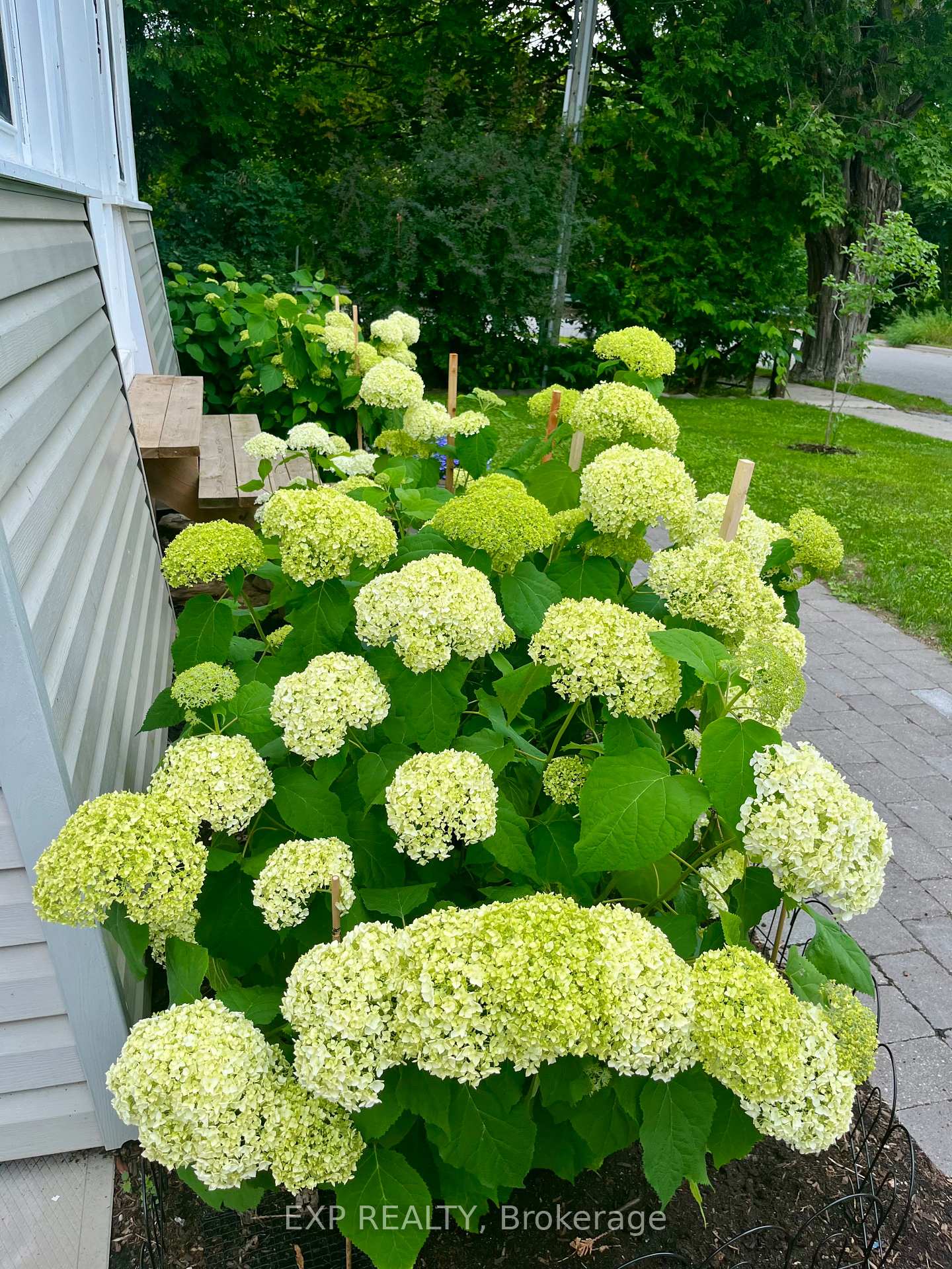 Photo 4 of 417 North Street, Brock, Beaverton — HOMEH
