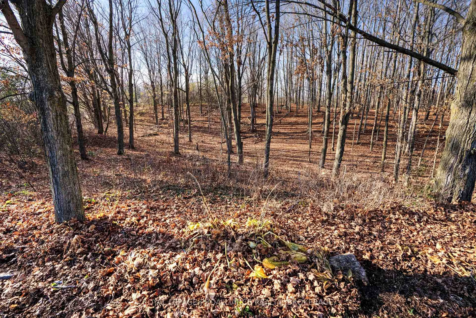 Photo 46 of 4469 Larry York Road, Frontenac, Frontenac South — HOMEH
