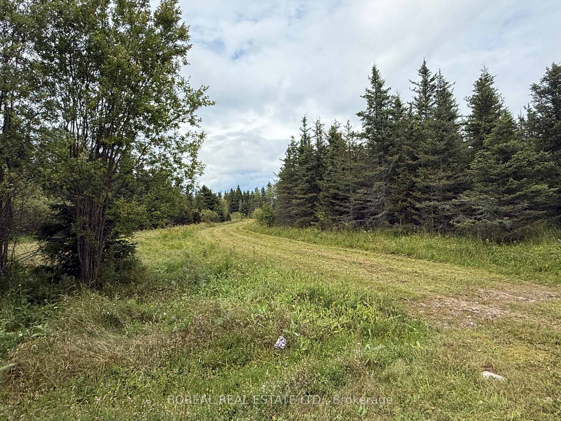 Photo 11 of PT LT 2 Con 2 Brower Twp, Cochrane, Cochrane Unorganized — HOMEH