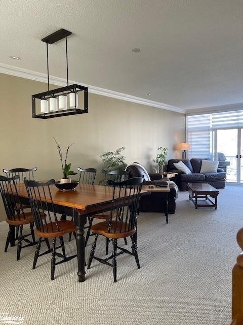 Photo 10 of 12 Cranberry, Collingwood — HOMEH