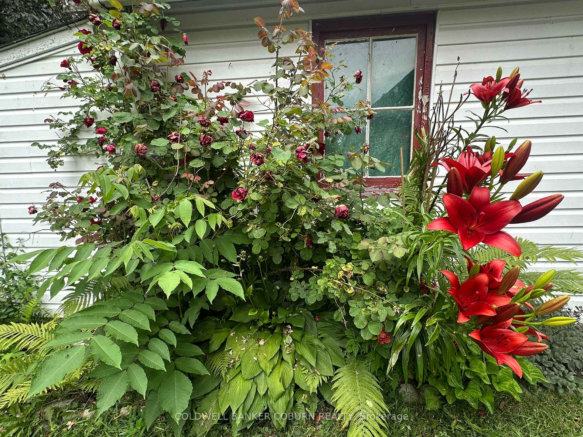 Photo 20 of 44 William Street, Edwardsburgh/Cardinal, Town of Cardinal — HOMEH