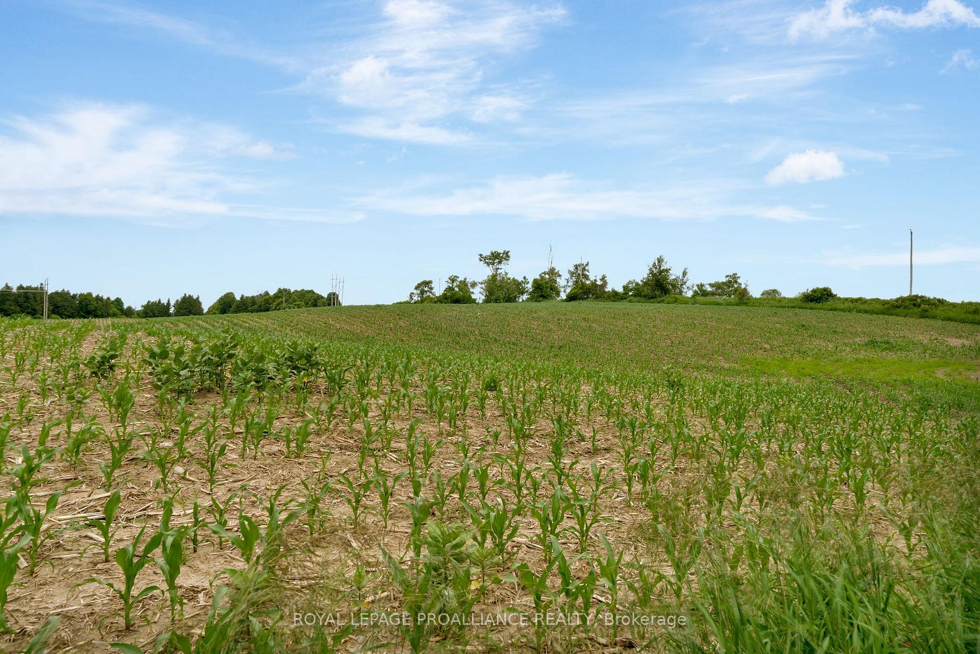 Photo 46 of 15148 County Road 21, Brighton, Rural Brighton — HOMEH