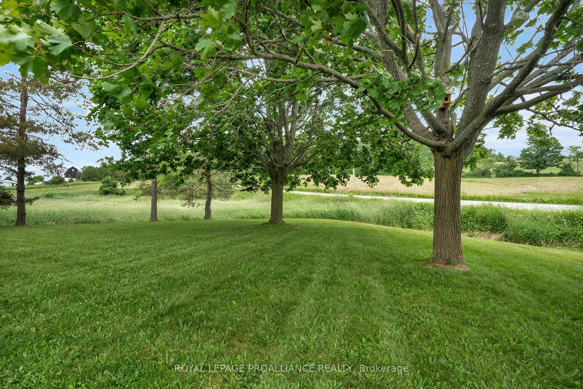 Photo 49 of 15148 County Road 21, Brighton, Rural Brighton — HOMEH