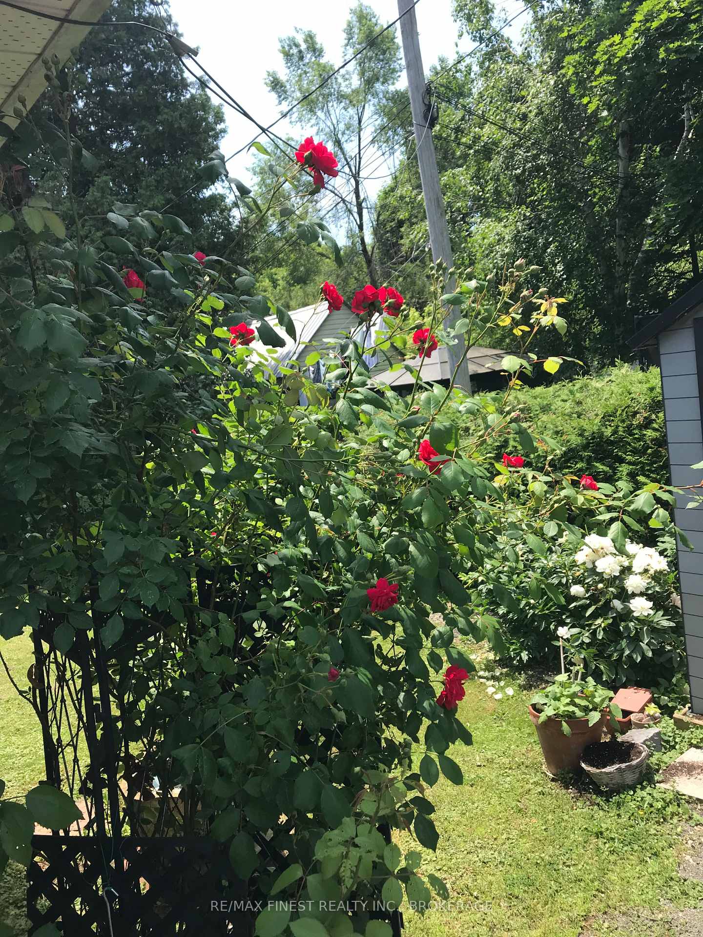 Photo 23 of 312 Henrietta Street, Gananoque — HOMEH