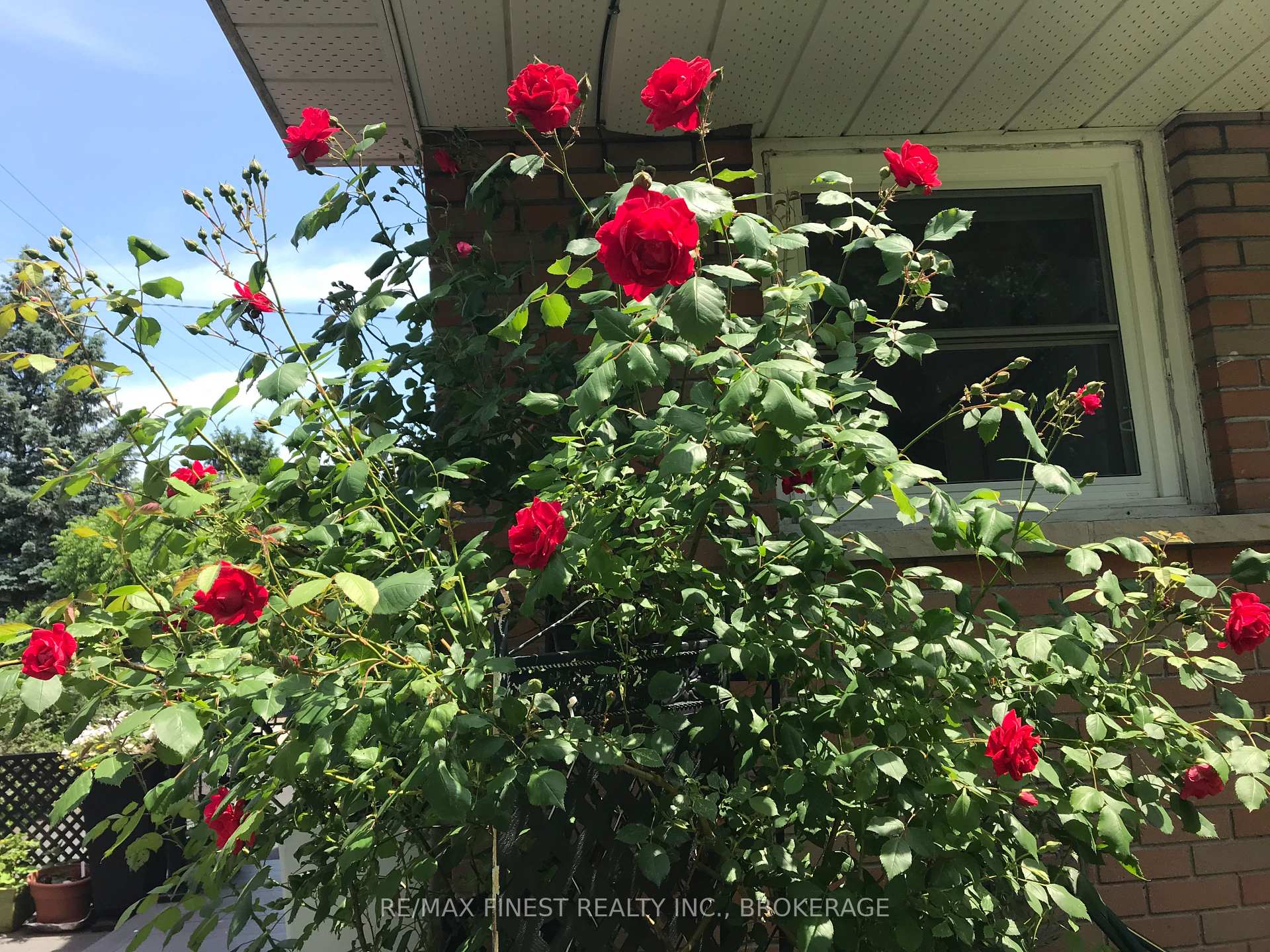 Photo 21 of 312 Henrietta Street, Gananoque — HOMEH