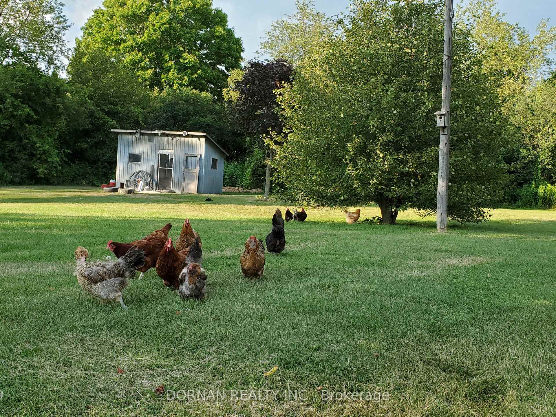 Photo 29 of 5858 Eagleson Line, Cavan Monaghan, Cavan Twp — HOMEH