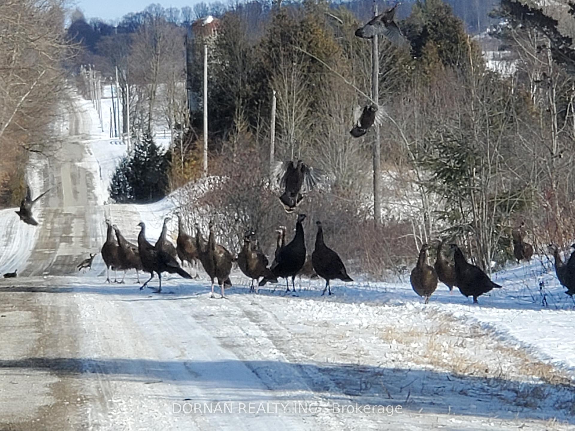 Photo 27 of 5858 Eagleson Line, Cavan Monaghan, Cavan Twp — HOMEH