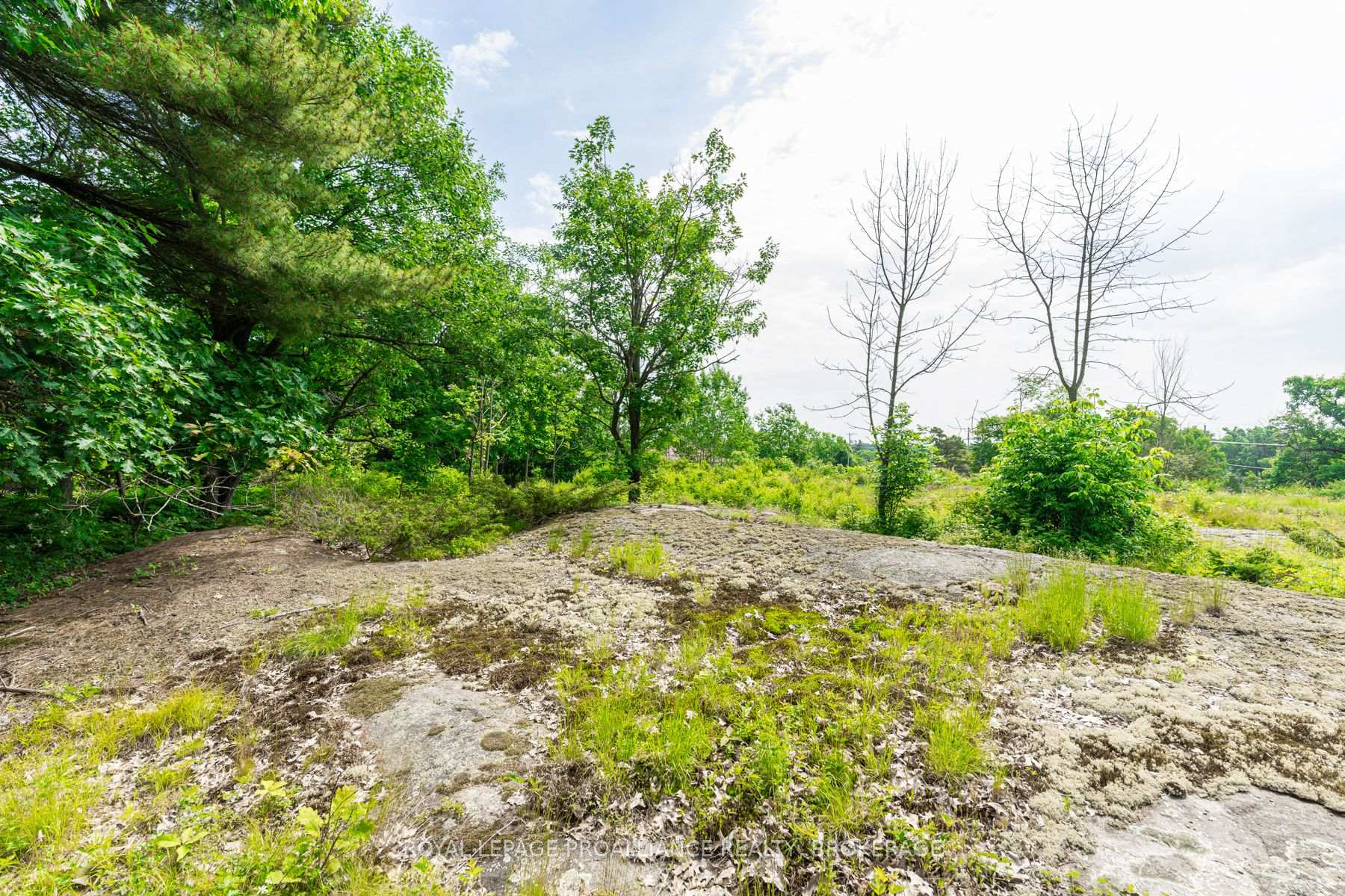 Photo 12 of 860 King Street W, Gananoque — HOMEH