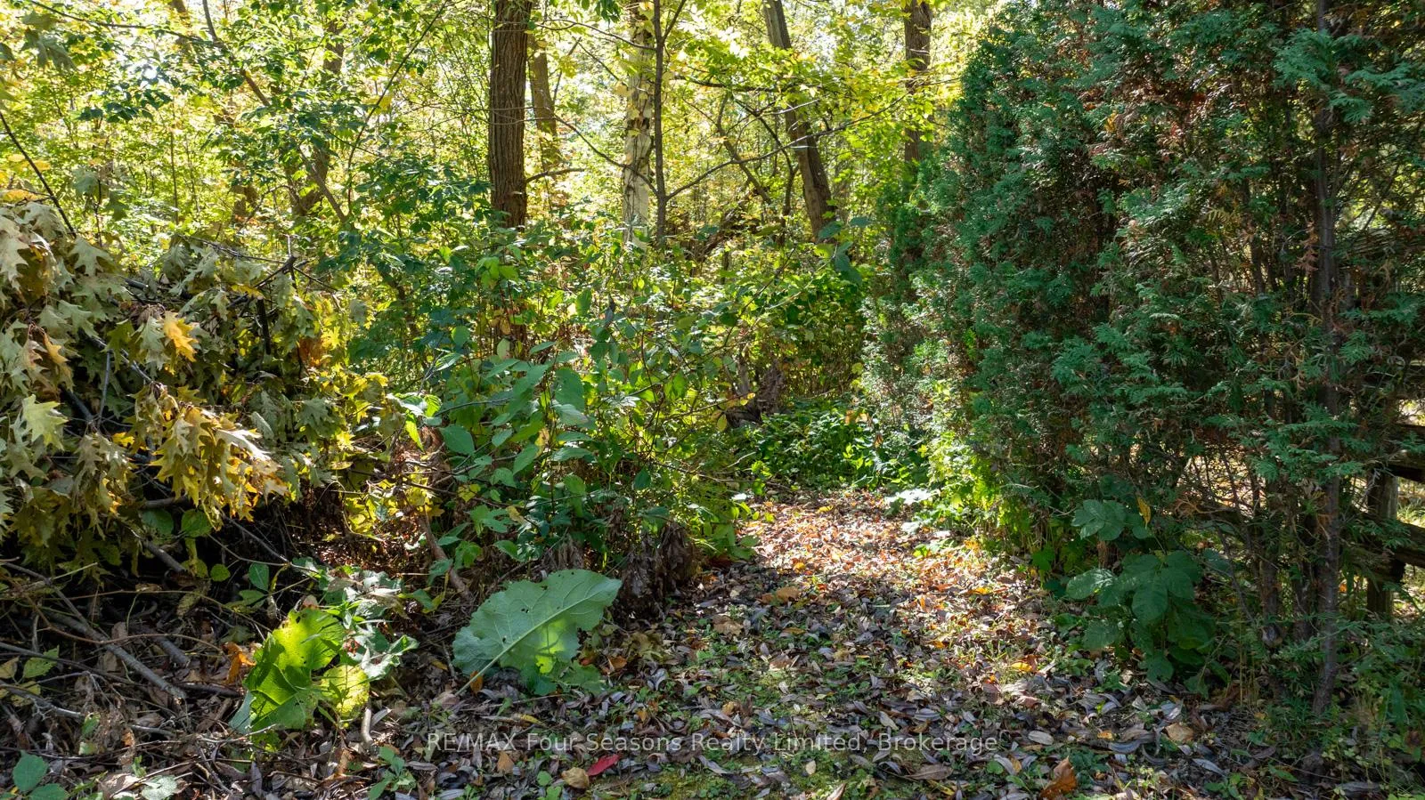 Photo 23 of 5 Caddo Drive, Clearview, Rural Clearview — HOMEH