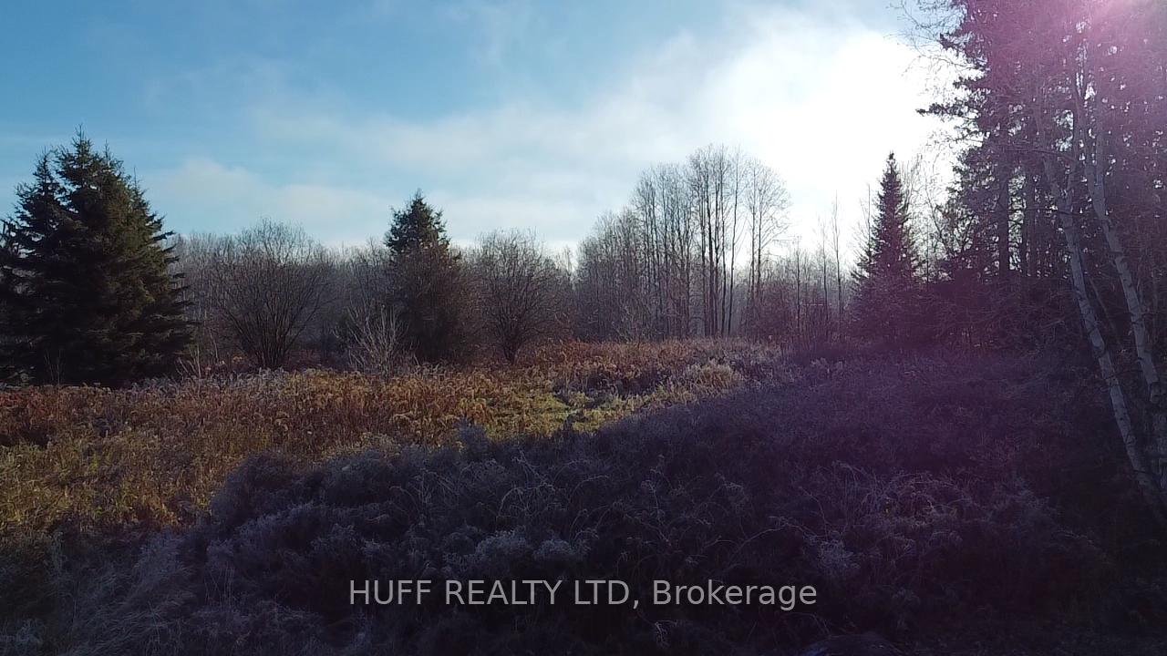 Photo 29 of 12 Hansuld Street, Englehart, Central Timiskaming — HOMEH