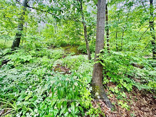 Photo 20 of Unit 45, 1007 Racoon Road, Gravenhurst, Morrison — HOMEH