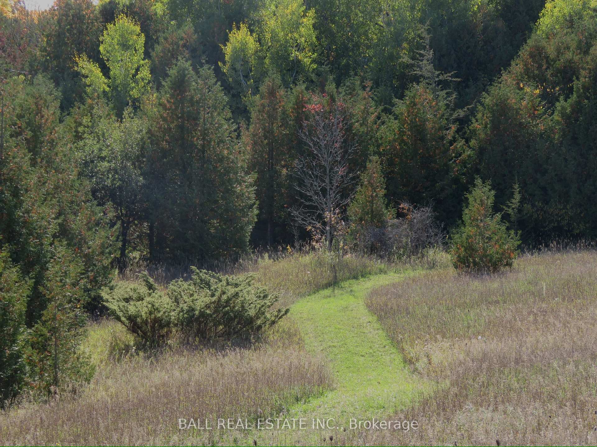 Photo 44 of 256 8th Line S Dummer, Douro-Dummer — HOMEH