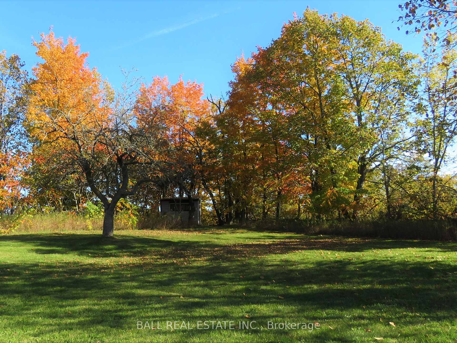 Photo 45 of 256 8th Line S Dummer, Douro-Dummer — HOMEH