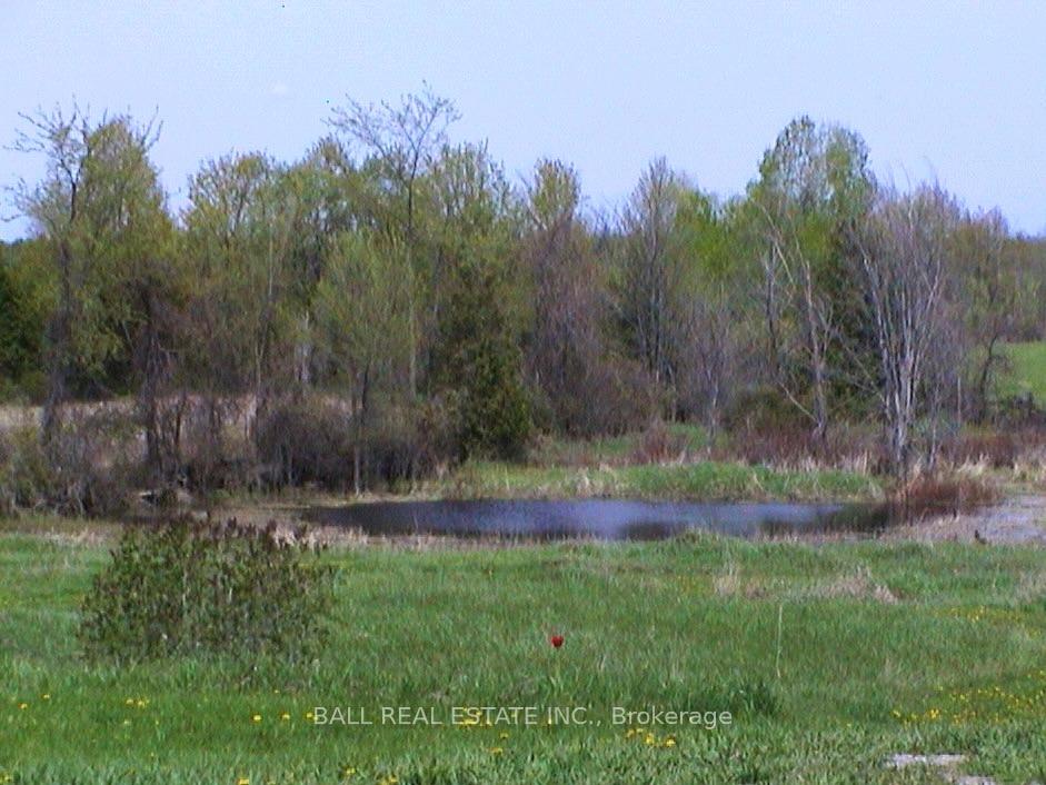 Photo 47 of 256 8th Line S Dummer, Douro-Dummer — HOMEH