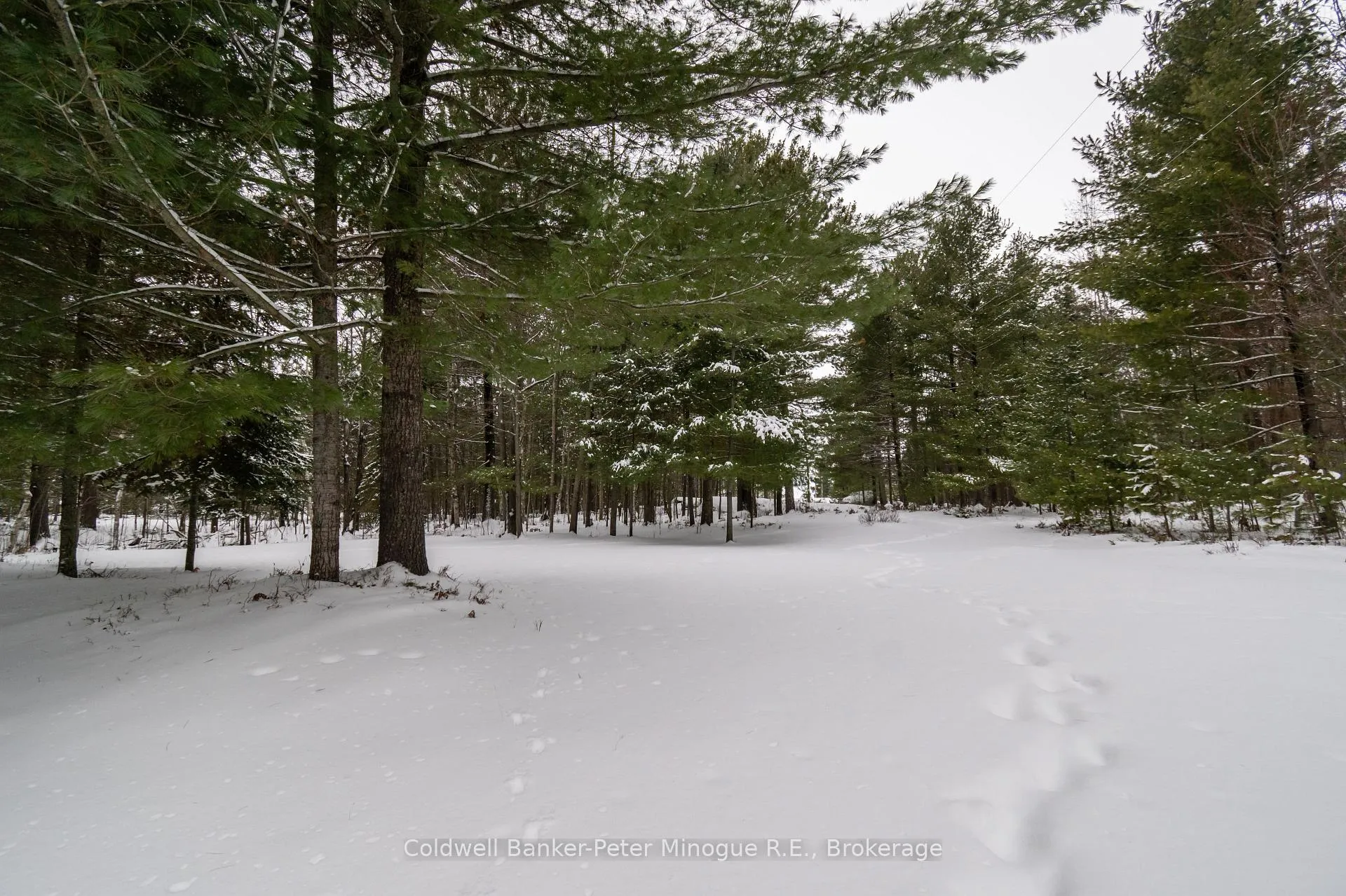 Photo 45 of 567 Sunset Cove Road, Callander — HOMEH