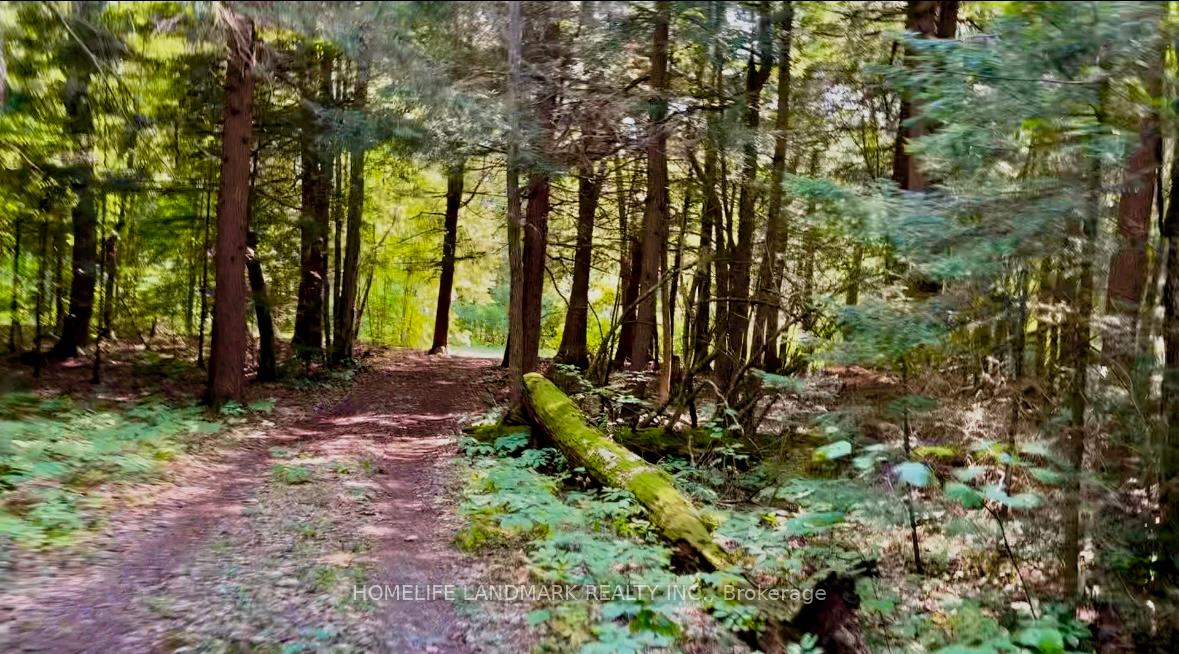 Photo 2 of 1663 Mississaugi Bay Road, Huron Shores — HOMEH