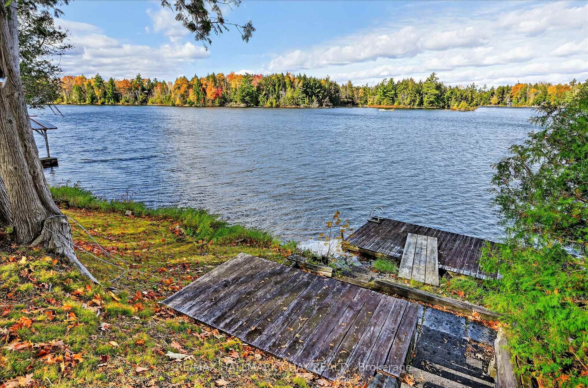 Photo 16 of 1452-1460 Birchview Road, Douro-Dummer — HOMEH