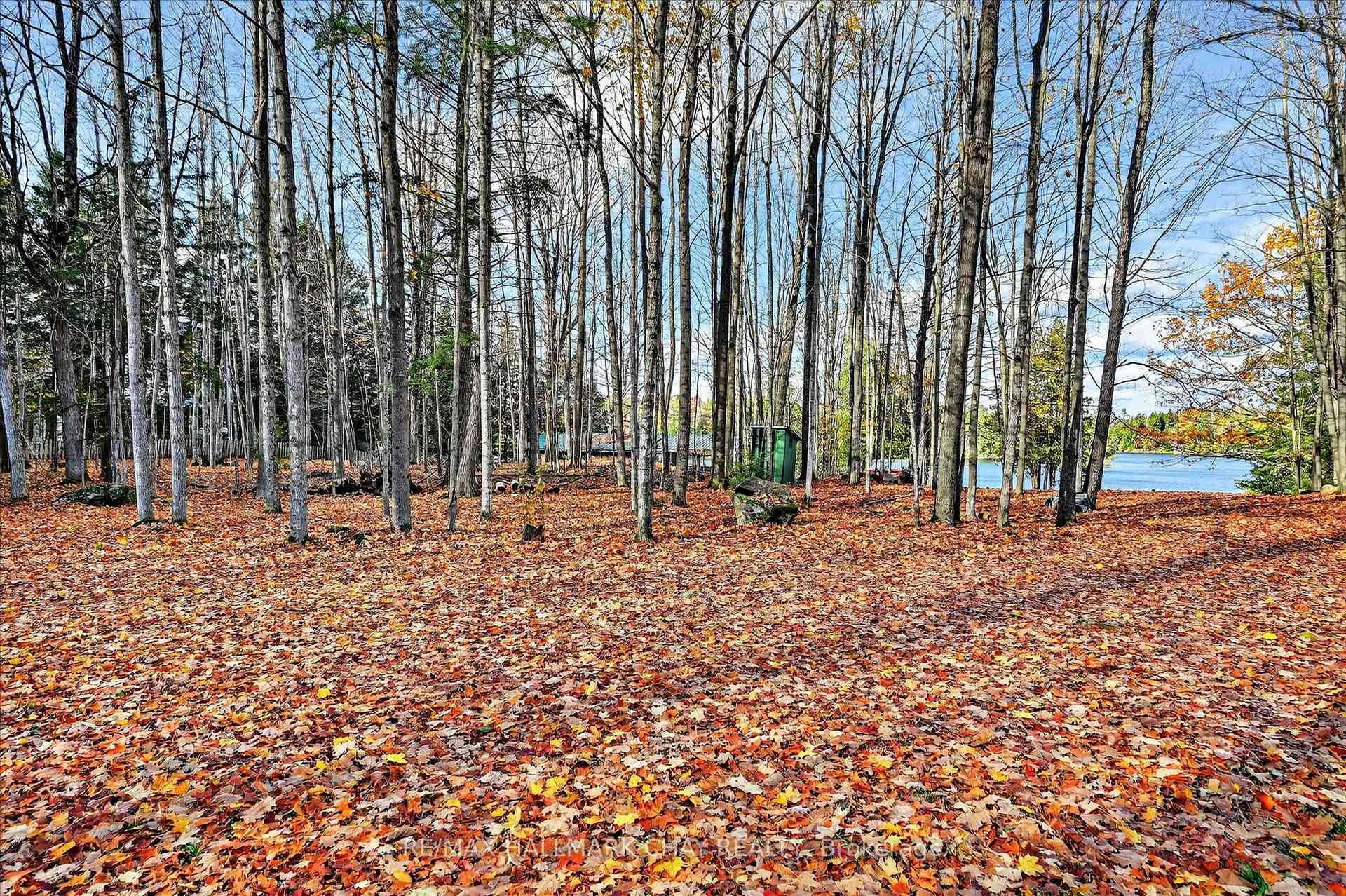 Photo 19 of 1452-1460 Birchview Road, Douro-Dummer — HOMEH