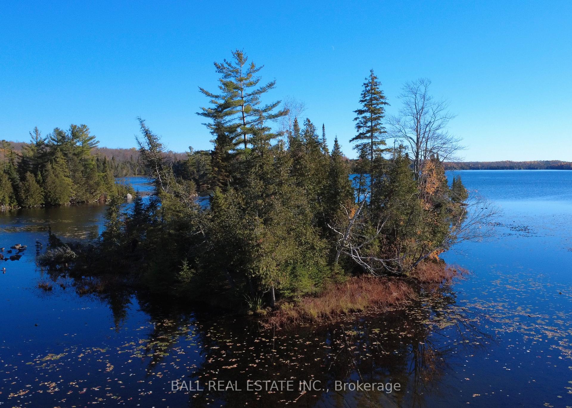 Photo 37 of 2149 Little Chipmunk Road, Douro-Dummer — HOMEH