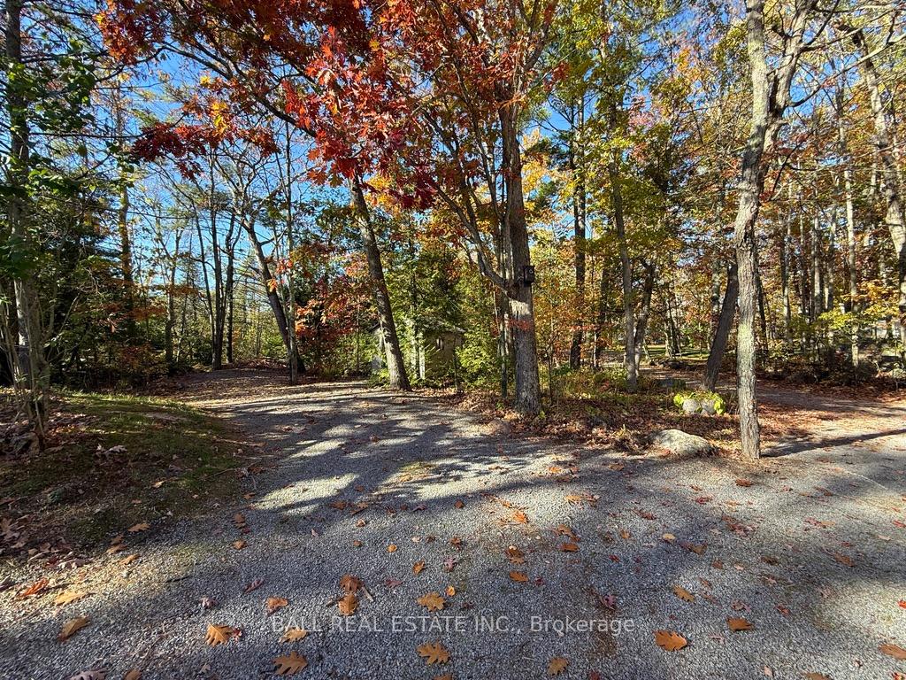 Photo 46 of 2149 Little Chipmunk Road, Douro-Dummer — HOMEH