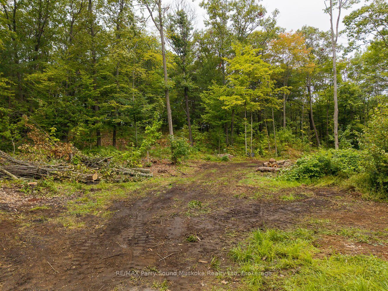 Photo 38 of 104 Parry Sound Drive, McDougall — HOMEH